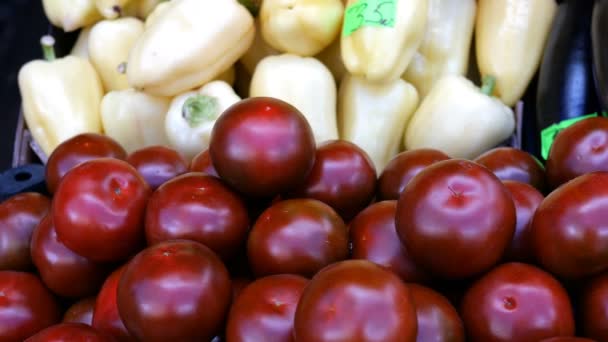 Comptoir du marché fermier avec tomates biologiques fraîches, aubergines et poivrons, légumes à gros plan, tas de vitamines saines. Aliments végétariens
. - Séquence, vidéo