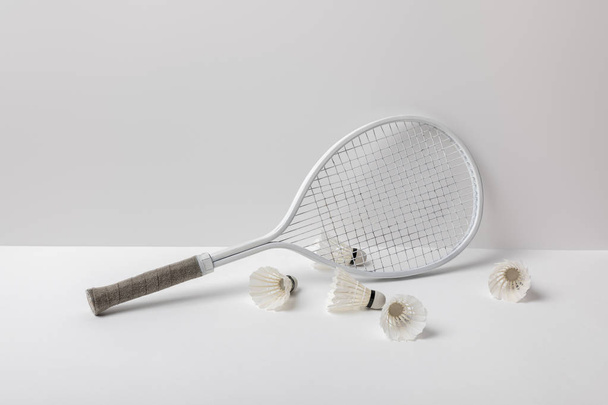 white badminton shuttlecocks near white racket on white background - 写真・画像