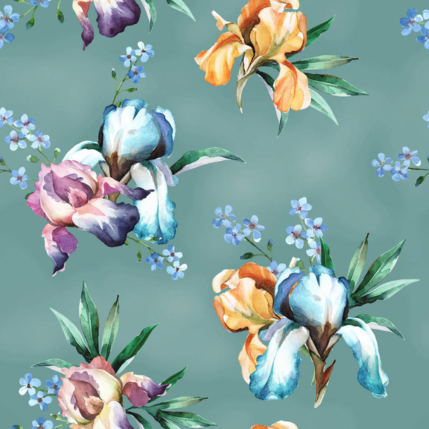 watercolor seamless pattern of colorful bouquet with iris flower - 写真・画像