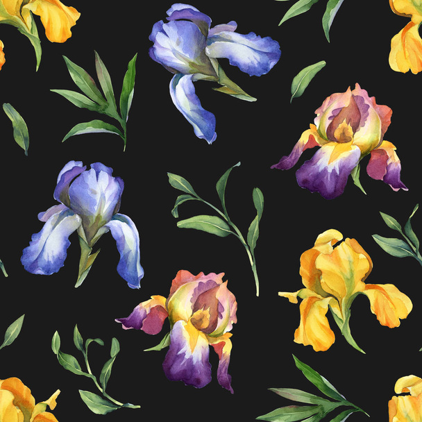 watercolor seamless pattern with purple, yellow and blue iris fl - Foto, Imagem