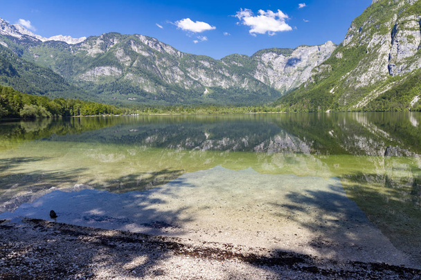 Lake Bohinj in Triglav national park, Slovenia - Fotoğraf, Görsel