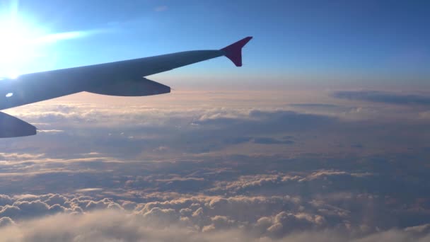 oben in der Luft, Blick auf Flugzeugflügelsilhouette mit dunkelblauem Himmelshorizont und Wolkenhintergrund bei Sonnenaufgang, vom Flugzeugfenster aus gesehen - Filmmaterial, Video