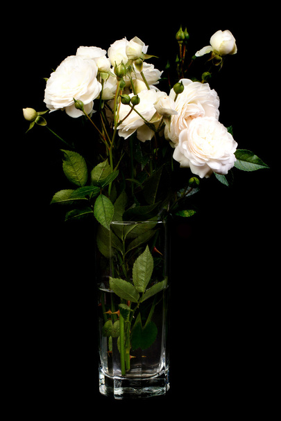 bukiet białych róż w wazonie. niski klucz. pionowe - Zdjęcie, obraz
