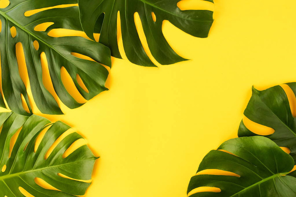 tropical green leaves monstera on yellow  background top view. Flat lay. Copy space - Foto, Bild