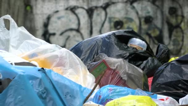 Bolsas de basura negras, blancas y azules en el contenedor
 - Metraje, vídeo