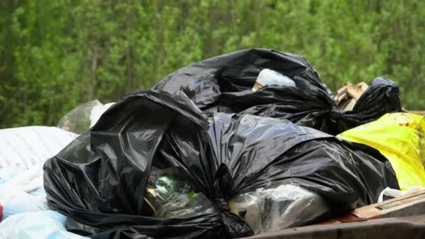 Czarne plastikowe torby śmieci znajdują się w pojemniku - Materiał filmowy, wideo