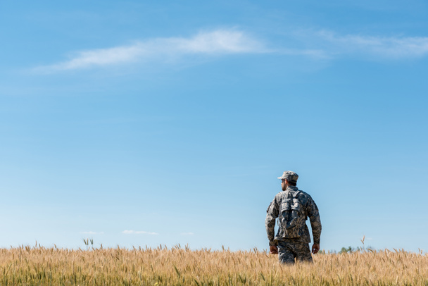 military man with backpack standing in field with golden wheat  - Фото, изображение