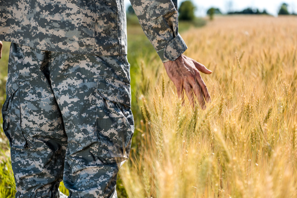 enfoque selectivo de soldado tocando trigo en el campo de oro
  - Foto, Imagen
