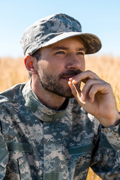 handsome soldier in military uniform and cap holding wheat near lips   - Foto, Imagem