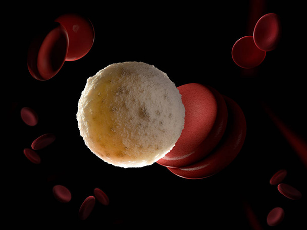 3D τετηγμένα απεικόνιση των λευκών αιμοσφαιρίων - Φωτογραφία, εικόνα