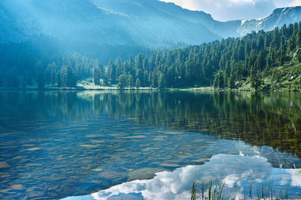 Transparent lake, mountains and forest on their slopes - Foto, Imagen