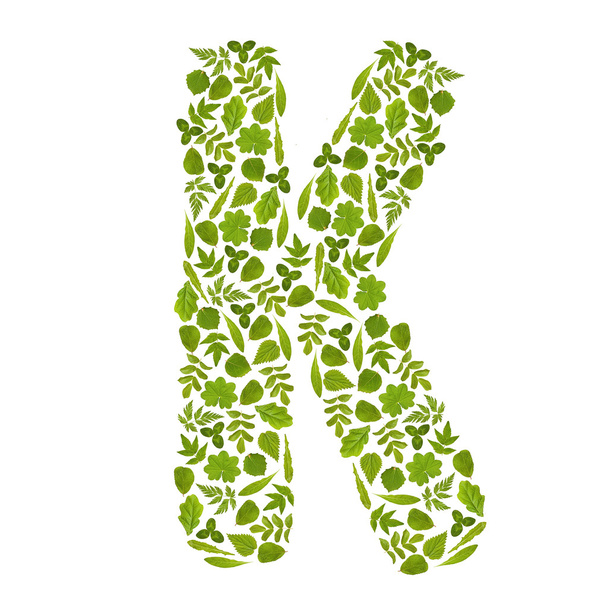 Letter K from green leafs - Zdjęcie, obraz