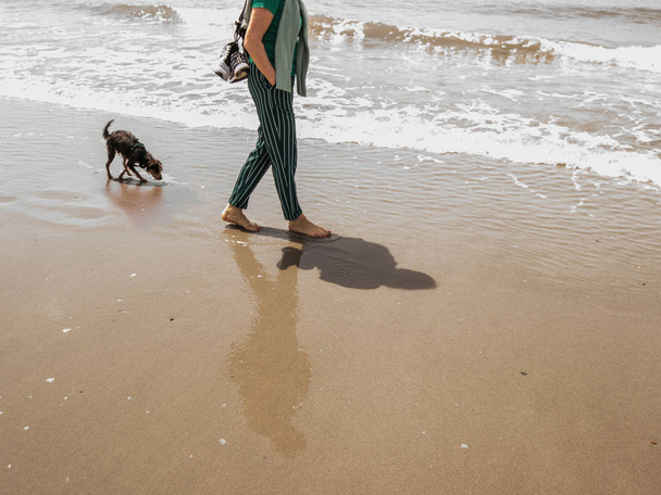 Letni spacer na plaży z psem. - Zdjęcie, obraz