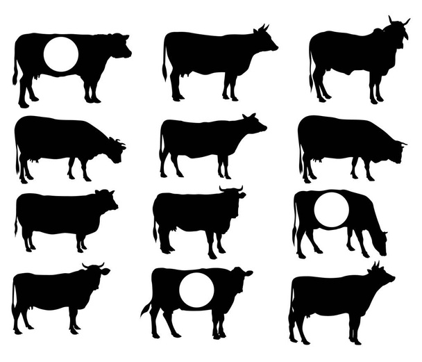 Cow collection - vector silhouette, cow silhouette collection - Vector, Image