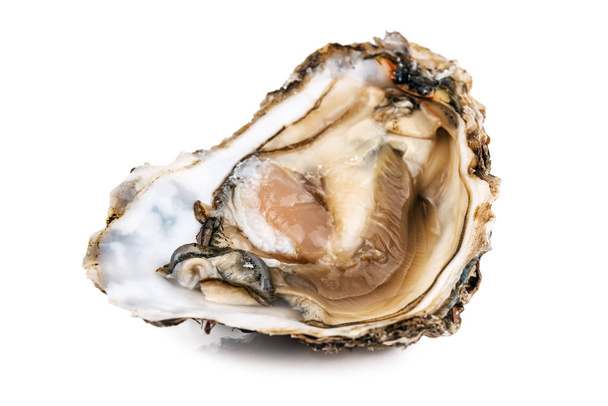 raw opened oyster on white - Foto, immagini