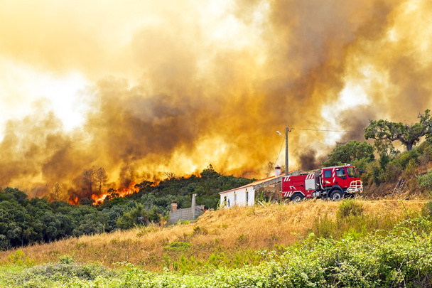Valtava metsäpalo uhkaa asuntoja Portugalissa
 - Valokuva, kuva