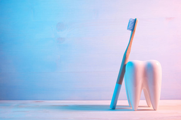 Healthy teeth concept, tooth model with toothbrush on wooden blue background. - Фото, изображение