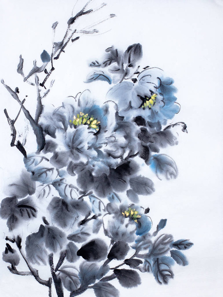 dark blue peony - Φωτογραφία, εικόνα