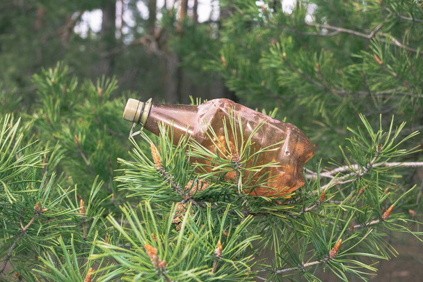Hnědá plastová láhev na stromě v borovicovém lese. - Fotografie, Obrázek
