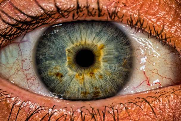 Makrofotografia oko-piękne zielonkawy oko zbliżenie - Zdjęcie, obraz