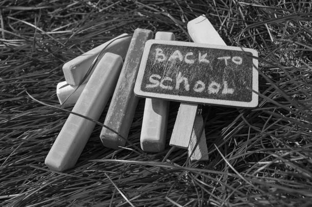Monochrome, black and white, Return to school, the inscription on the mini-Board, the layout of the Board and chalk on the green grass, the concept of preparing for school. Copy space - Photo, Image