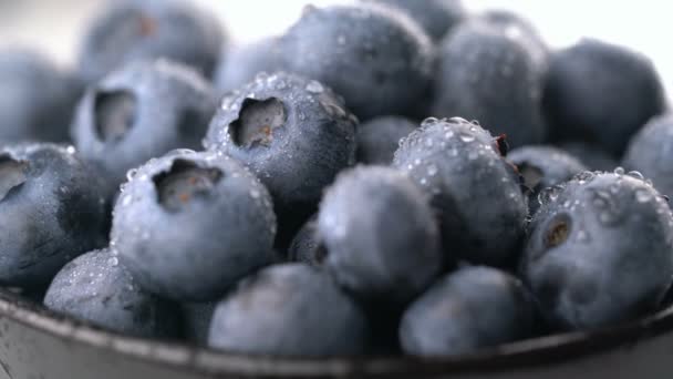 blueberry with dew background rotates seamless loop - Filmmaterial, Video