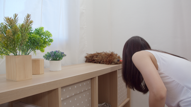 Asian woman cleaning her living room, Beautiful japanese female using feather duster cleaning dust in shelf at home. Lifestyle women using time cleaning home concept. Slow motion shot. - Metraje, vídeo
