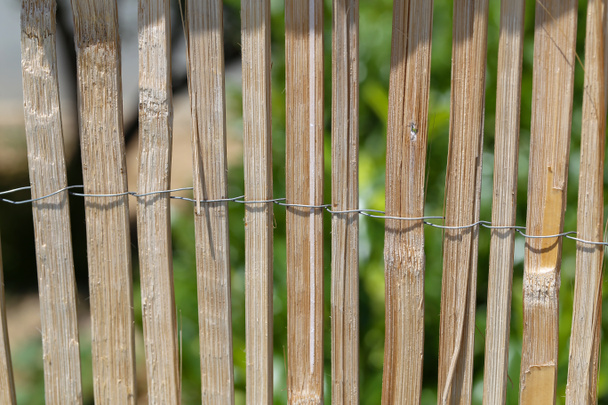 Cerca de paus de bambu presos com arame
 - Foto, Imagem