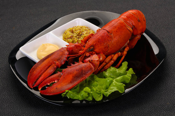 Luxus homár-szósszal - Fotó, kép