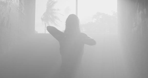 Sziluettje gyönyörű érzéki nő a test öltöny táncol ködös stúdióban több mint ablak kilátás pálmafákkal háttér-fekete-fehér videó lassított - Felvétel, videó