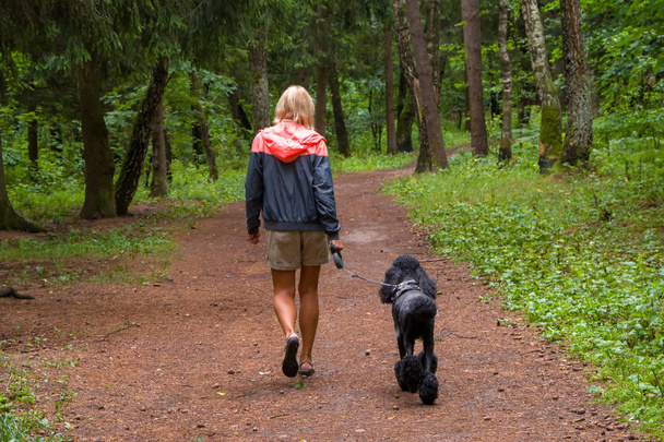 Young girl walking in Park with dog after rain - Φωτογραφία, εικόνα