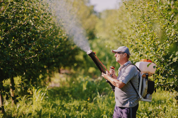 Side view of Caucasian mature peasant in working clothes, hat and with modern pesticide spray machine on backs spraying bugs in orchard. - Φωτογραφία, εικόνα