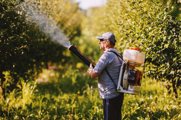 Zijaanzicht van Kaukasische volwassen boer in werkende kleren, hoed en met moderne pesticide spray machine op rug spuiten bugs in Orchard. - Foto, afbeelding