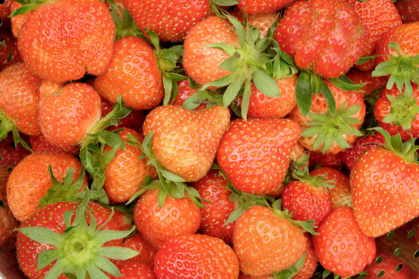 A close up of bright red strawberries in a big bowl - Photo, Image