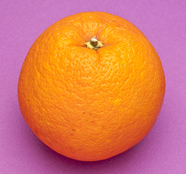 Oranje op paars - Foto, afbeelding