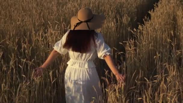 Mladá dívka, která prochází pomalým pohybem pšeničné polní - Záběry, video