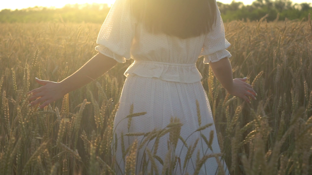 Młoda dziewczyna chodzenie w zwolnionym tempie przez pole pszenicy - Materiał filmowy, wideo