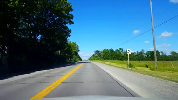 Rijden op het platteland tijdens de heldere zomerdag. Bestuurders standpunt POV langs prachtige zonnige landweg. - Video