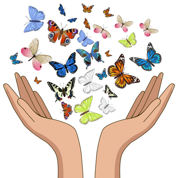 Hände, die bunte Schmetterlinge freilassen. isoliert auf weißem Hintergrund. Vektorgrafik. - Vektor, Bild