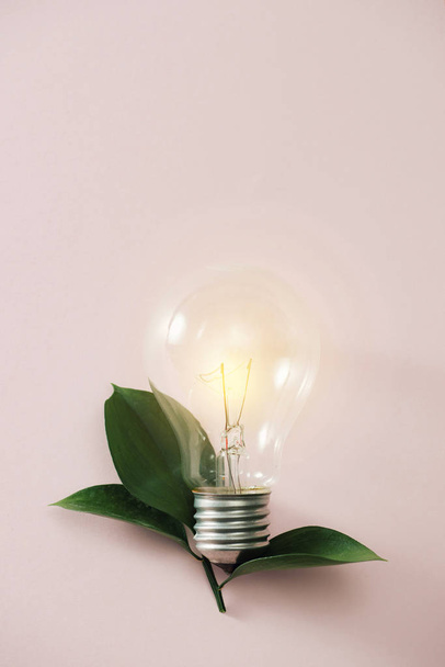 Ampoule concept Eco Green Energy, feuilles d'ampoule sur fond rose
. - Photo, image