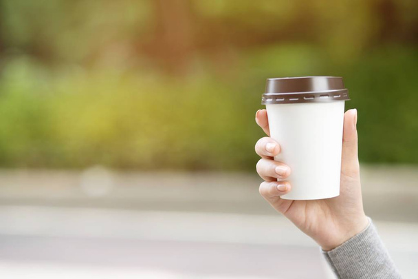 people female hand holding paper cup of take away drinking coffee on natural morning sunlight. space Place for your text or logo. - Foto, afbeelding