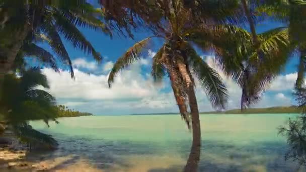Aitutaki Lagoon panoráma Időközű trópusi Beach Reef és kókusz pálmafák imbolygott a szeles felhős égbolt több mint kék lagúna fehér homok reggeli óceán a Cook-szigetek Polinézia Dél-csendes-óceáni - Felvétel, videó