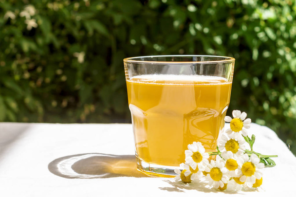 Refreshing kombucha tea with a medical camomile in a glass on backdrop of blurred flowers. Healthy natural probiotic flavored drink. Copy space - 写真・画像