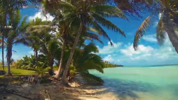 Az Aitutaki lagúna idő telik el a trópusi Beach Reef-kókusz pálmafák swaying a Windy felhős égbolt over Blue Lagoon fehér homok reggeli óceán a Cook-szigetek Polinézia Dél-csendes-óceáni - Felvétel, videó