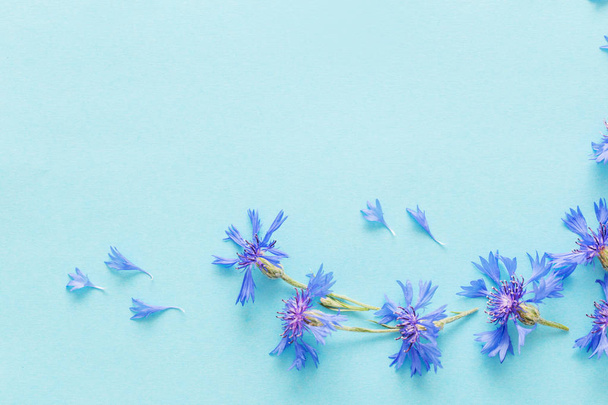 blue cornflowers on blue paper background - Fotografie, Obrázek