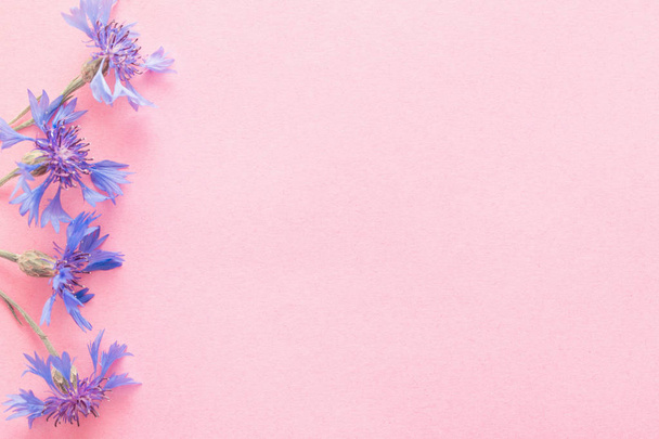 blue cornflowers on pink paper background - Photo, Image