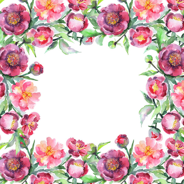 Bouquet di peonia fiori botanici floreali. Acquerello sfondo illustrazione set. Quadrato ornamento bordo cornice
. - Foto, immagini
