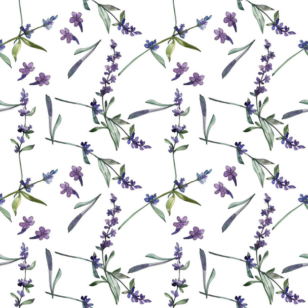 Violet lavender floral botanical flowers. Watercolor background illustration set. Seamless background pattern. - Photo, Image