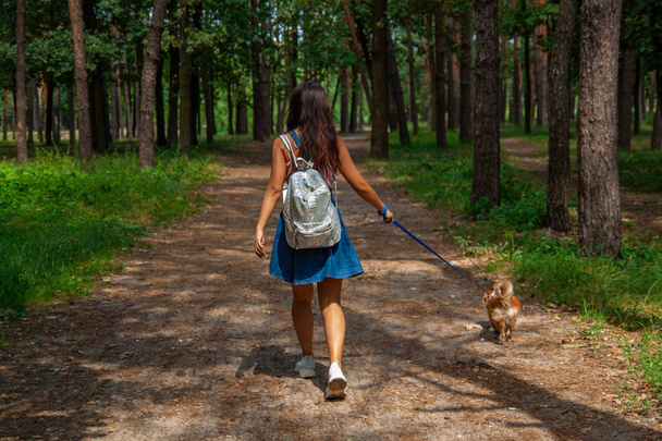 roztomilá Asijská dívka s malým psem v parku. Koncepce domácího zvířete a lidí v zájmovém chovu. - Fotografie, Obrázek