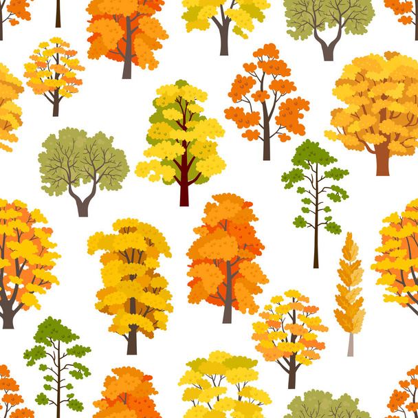 Patrón de árboles forestales de otoño. Un fondo de bosque
 - Vector, Imagen